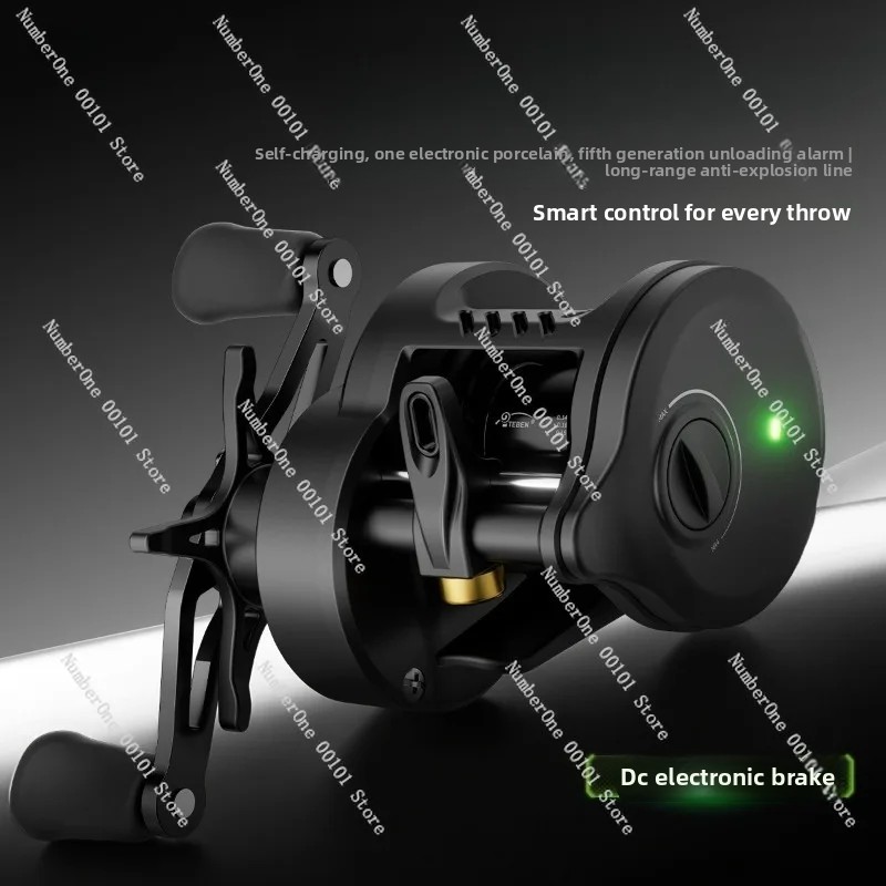 Electronic Magnetic Brake Fish - огляд і ціна Baitcasting Reel
